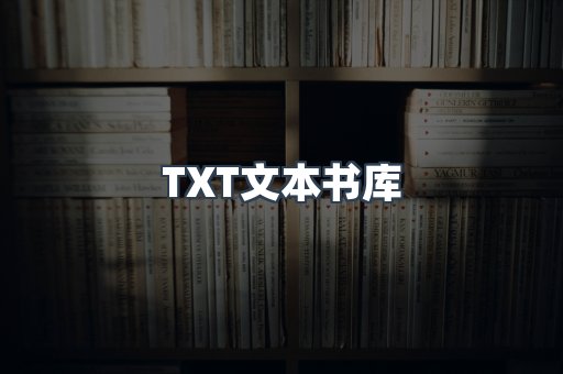 TXT文本书库